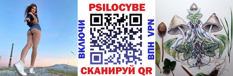 Псилоцибиновые грибы Psilocybine cubensis Валдай